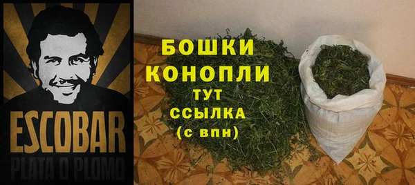 ГАЛЛЮЦИНОГЕННЫЕ ГРИБЫ Нязепетровск