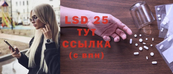 ПСИЛОЦИБИНОВЫЕ ГРИБЫ Алексин
