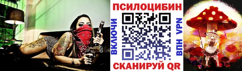 Псилоцибиновые грибы мухоморы Петровск-Забайкальский